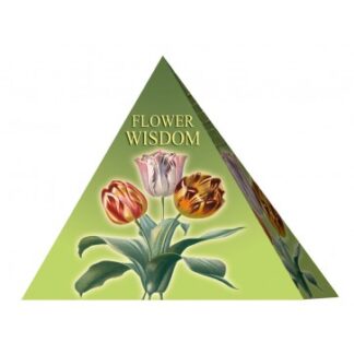 804-0189 PYRAMID ORACLE CARDS FLOWER WISDOM LO SCARABEO