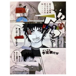 954-0003 WALL ORGANISER MANGA